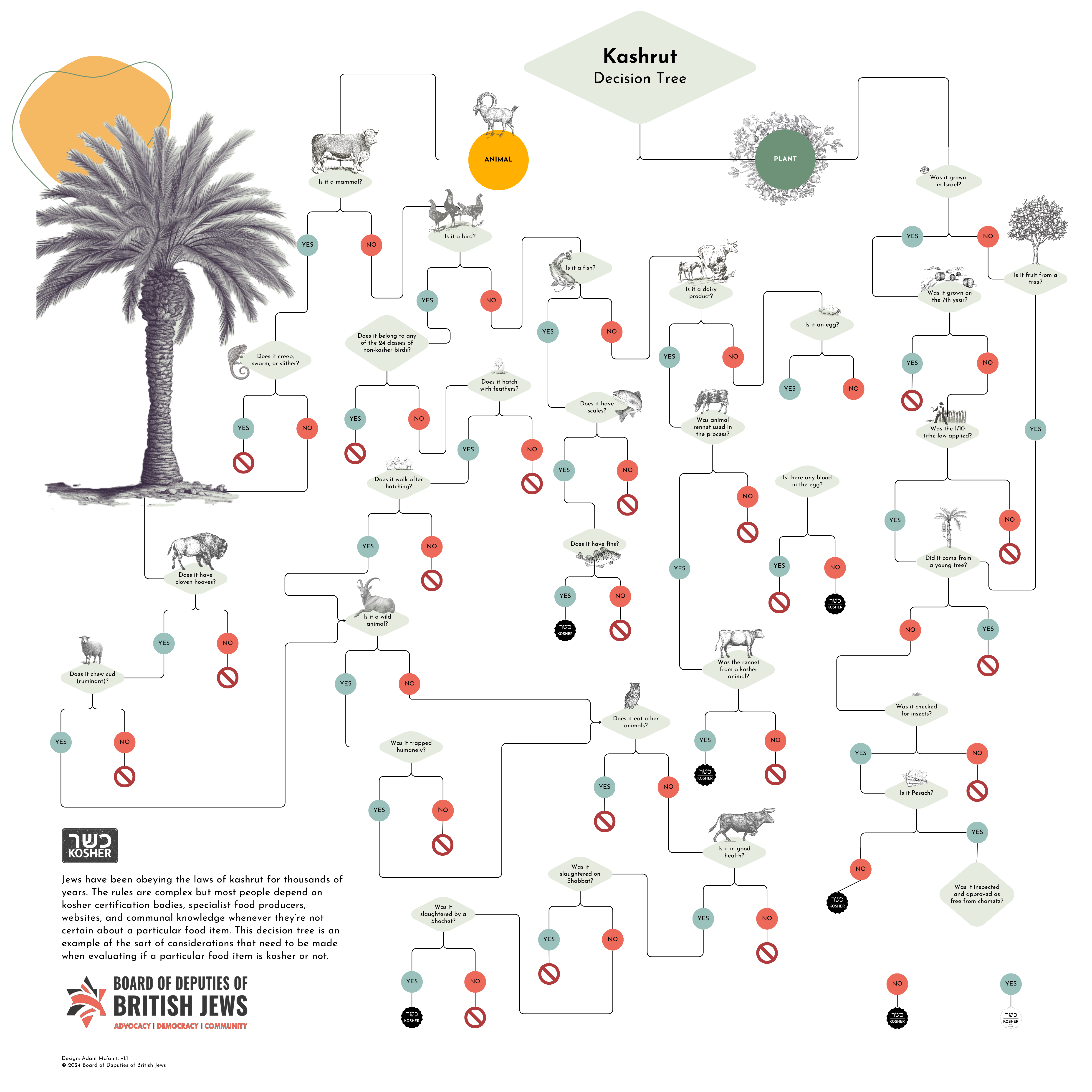 Kashrut Decision Tree