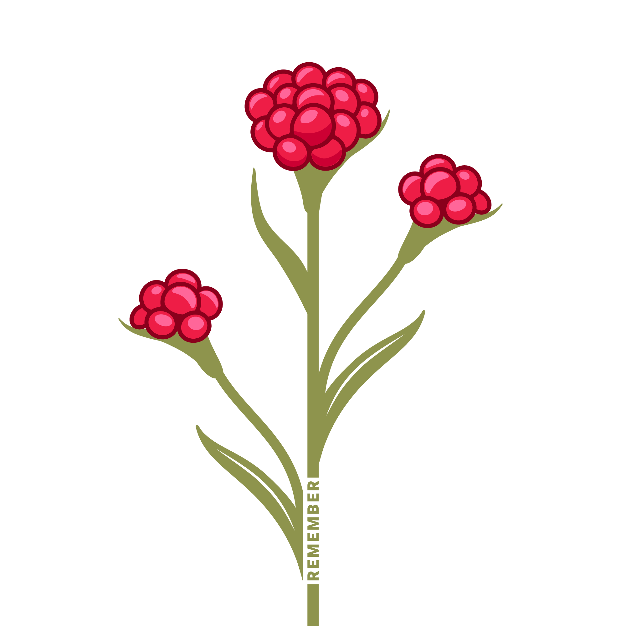 Blood of the Maccabees Flower