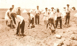 New immigrants working the land, 1921.