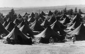Tents used as temporary housing for immigrants, 1950.